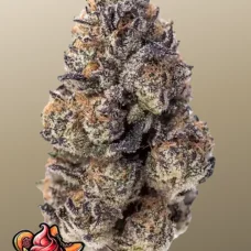 PAPAYA SHERBET ™